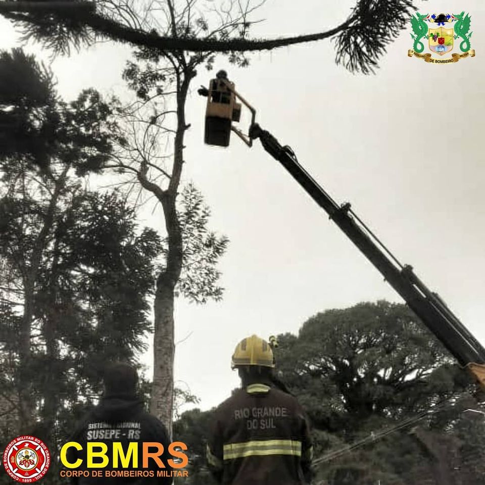 O Corpo de Bombeiros Militar do Rio Grande do Sul - CBMRS - realizou a remoção de árvores  nas dependências do Presídio Estadual de Canela