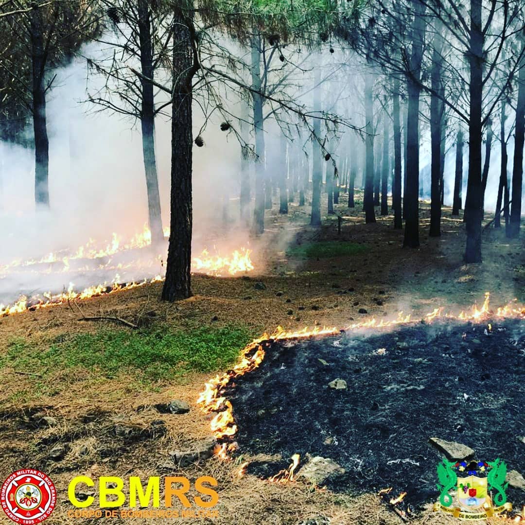 O Corpo de Bombeiros Militar do Rio Grande do Sul - CBMRS - atendeu uma ocorrência de incêndio em vegetação